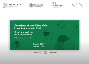 Brebey ringrazia organizzatori e partecipanti del webinar sulla Creazione di un Filiera della Lana Autoctona in Italia