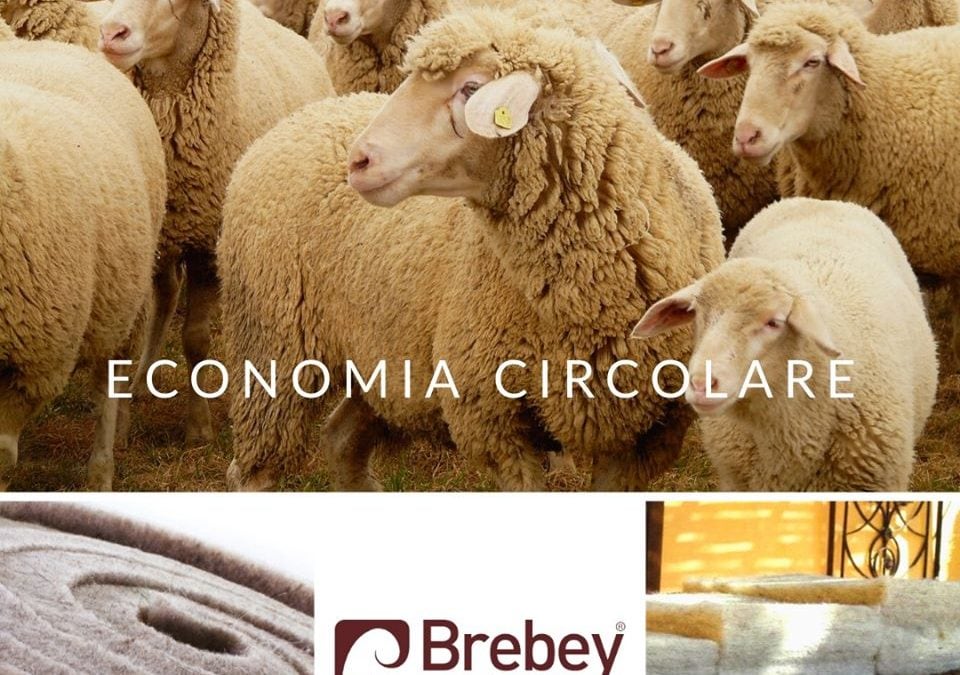Brebey è il sapere antico che guarda al futuro.